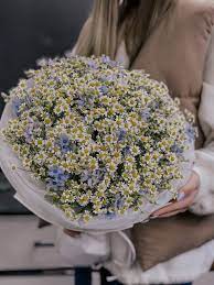 Bouquet de Marguerite Sunshine Meadow